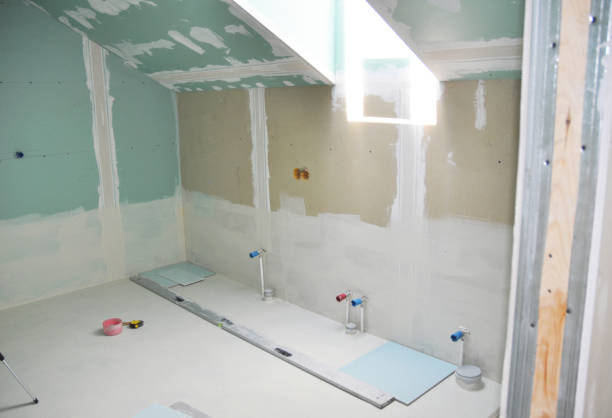 Best Mold Documentation for Insurance Claims  in Hammond, IN