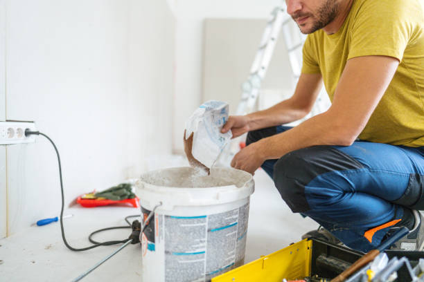 Best Environmental Consulting for Mold Prevention  in Hammond, IN