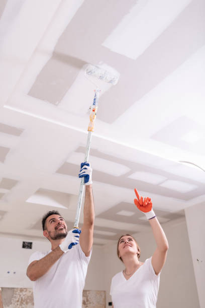Best Mold Prevention Services  in Hammond, IN